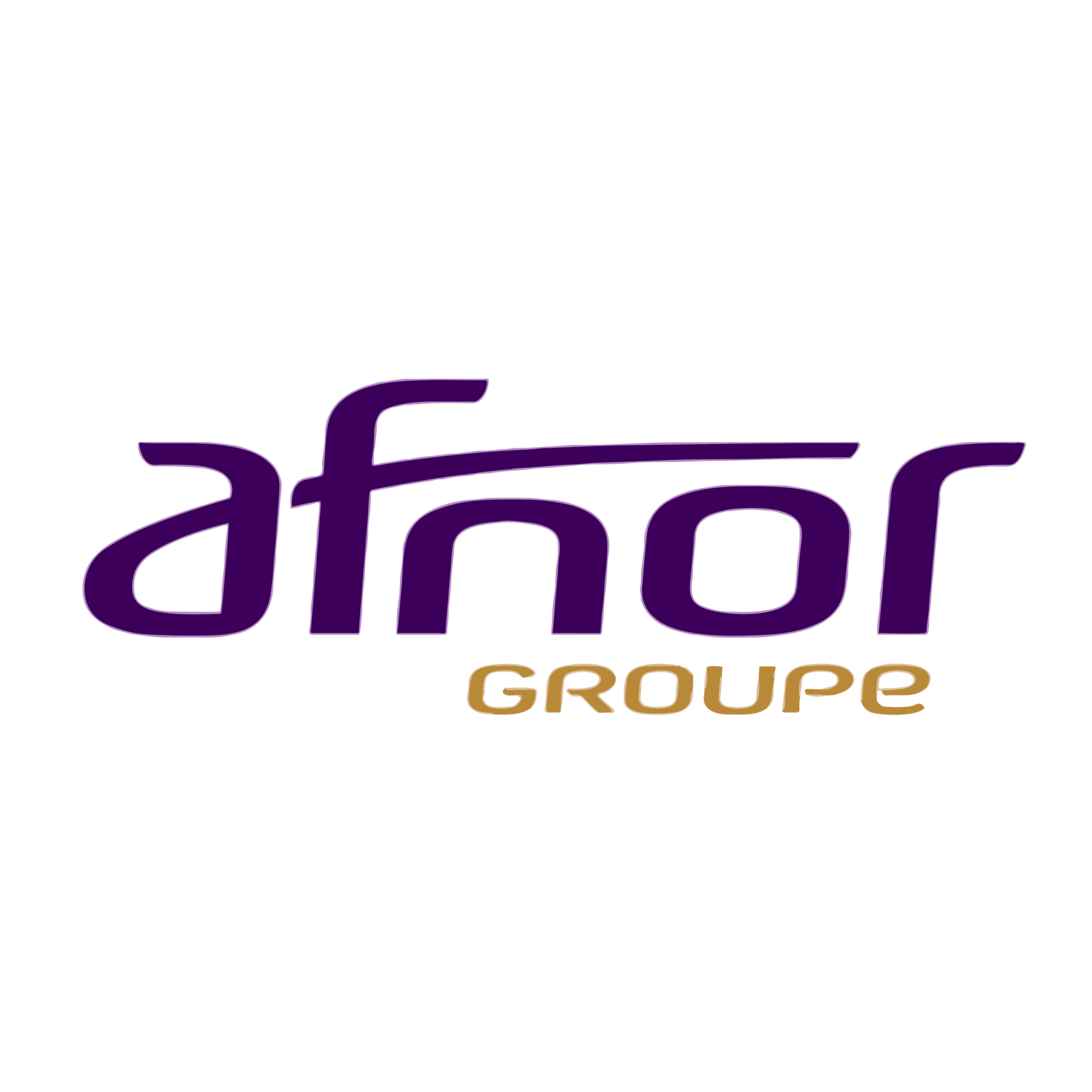 Afnor groupe logo image